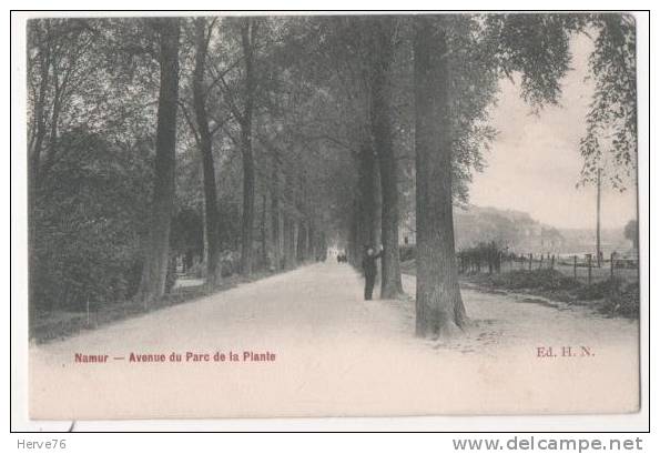 BELGIQUE - NAMUR - Avenue Du Parc De La Plante - Namur