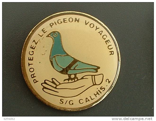 PIN'S COLOMBOPHILIE - PIGEON - S.G CALAIS 2 - Animaux