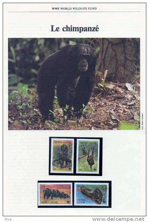 Document De 8 Feuilles (WWF )le Chimpansé. Avec 4 Valeurs Luxe ***+ 4 Val/avec Cachet Du 19/5/1983. - Chimpanzés