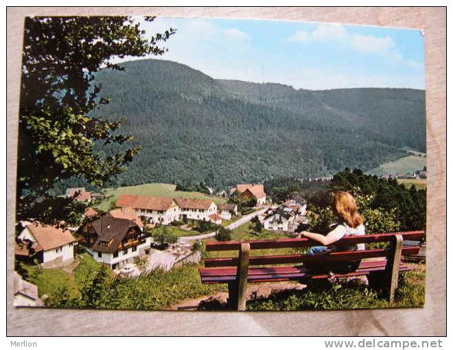 Baiersbronn- Huzenbach   -D96621 - Baiersbronn