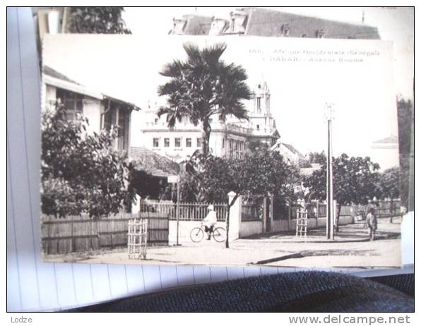 Senegal Sénégal Dakar Avenue Roume - Senegal