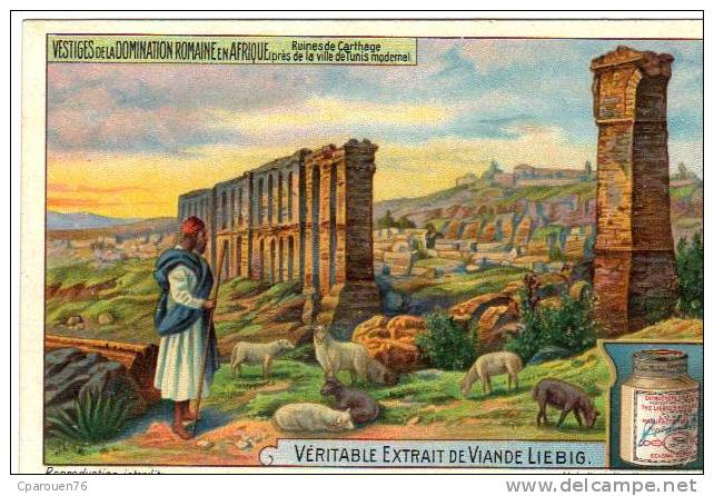Chromo Ancienne  Liébig Série Vestiges De La Domination Romaine En Afrique Ruines De Carhage Près De Tunis - Liebig