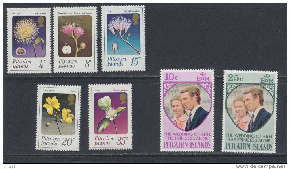 Pitcairn 1973 -  Année Complète   ***  MNH - Pitcairn Islands