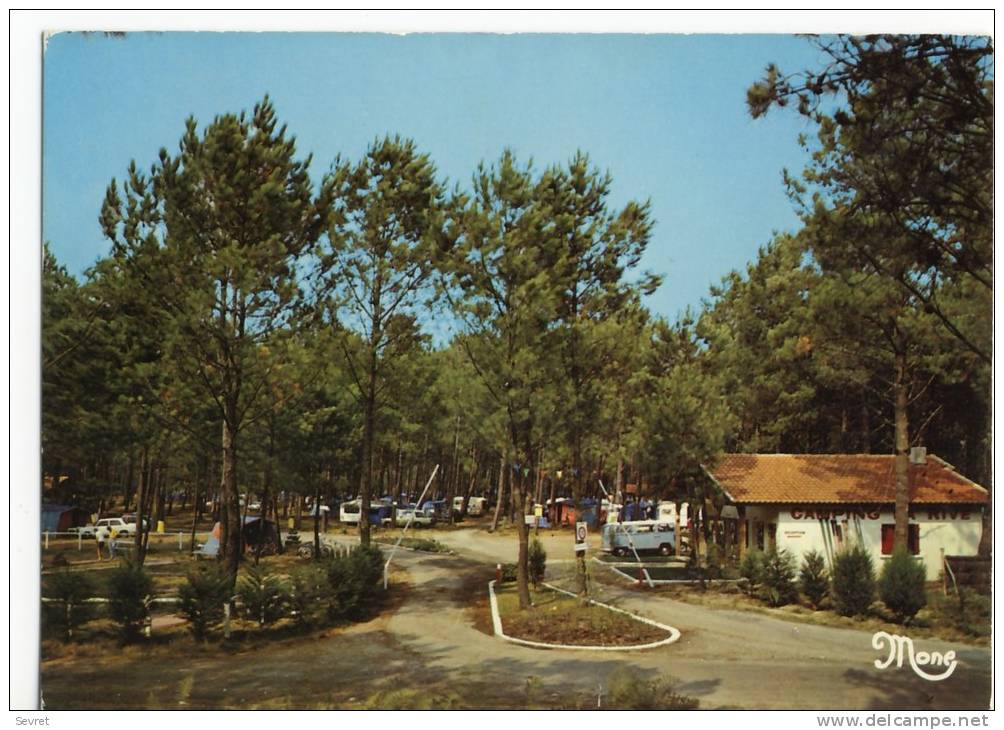 BISCAROSSE. - Le CAMPING " LA RIVE " .CPM - Biscarrosse