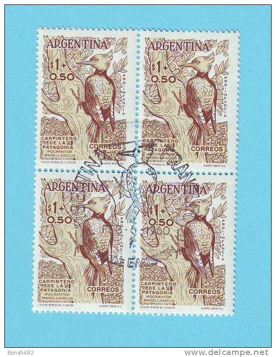 ARGENTINE ARGENTINA OISEAUX CONDOR RAPACE 1960 /  OBLITERE / CR 28 - Picchio & Uccelli Scalatori