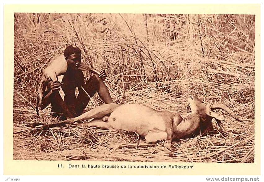 Afrique - Africa -tchad -ref A43-la Chasse -chasseur -brousse De La Subdivision De Baibokoum   - Carte Bon Etat  - - Tchad