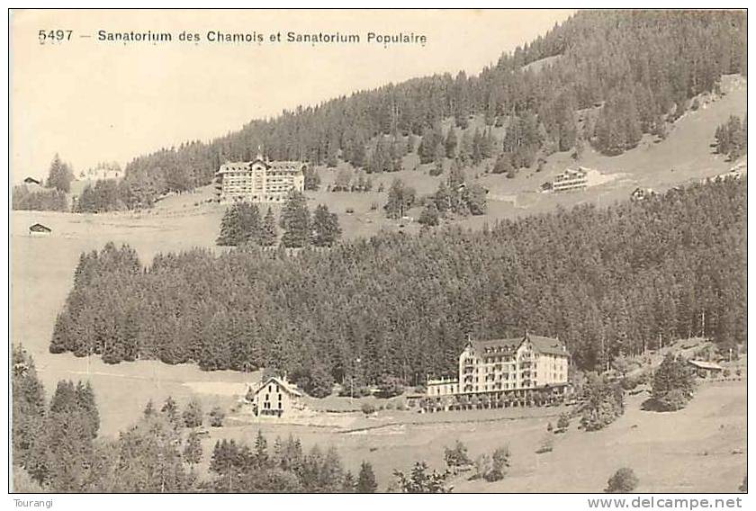 Jan13 1652 : Sanatorium Des Chamois  -  Sanatorium Populaire - Cham