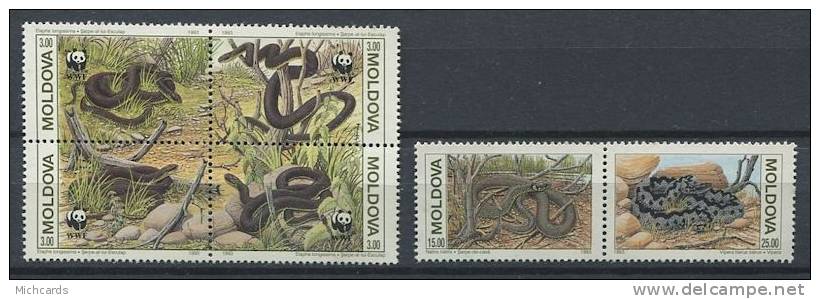 103 MOLDAVIE 1993 - Reptile Serpent WWF - Neuf Sans Charniere (Yvert 44/49) - Moldova