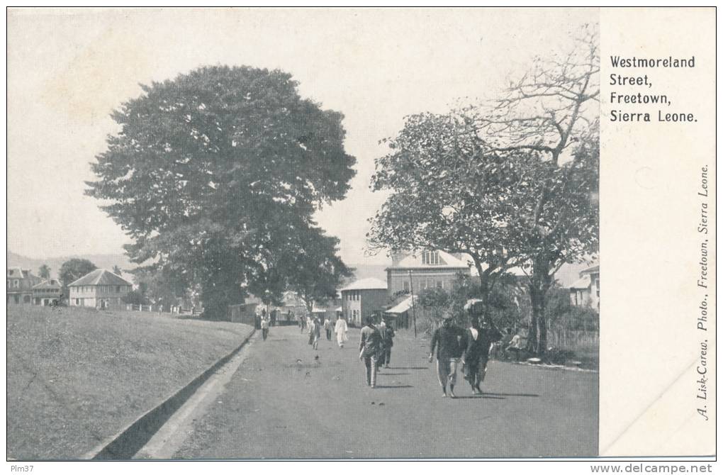 FREETOWN -  Westmoreland Street - Sierra Leone