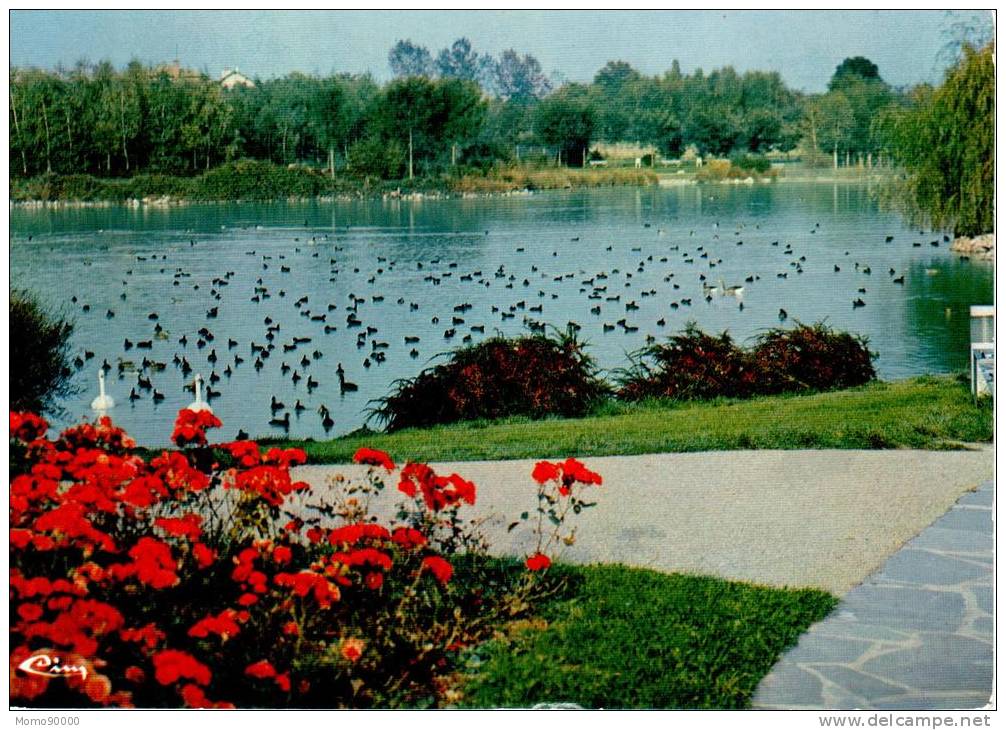 VILLARS-LES-DOMBES : Parc Ornithologique Départemental De La Dombe - Le Grand étang - Villars-les-Dombes