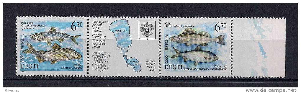 ESTONIA, AÑO 2000, SERIE EN NUEVO, PERFECTA, TEMA PECES - Peces