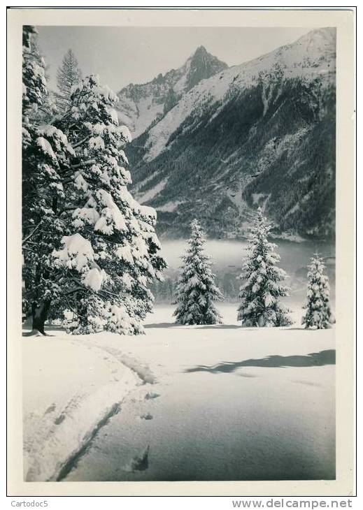 Photo Format 18-12 Cm  Chamonix - Lieux