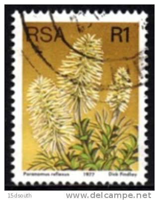 South Africa - 1977 Protea Definitive R1 P14x13½ (o) # SG 429a , Mi 527C - Oblitérés