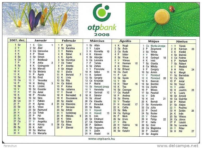 LADYBIRD * LADYBUG * INSECT * ANIMAL * CROCUS * FLOWER * COMMERCIAL BANK * CALENDAR * OTP Bank 2008 * Hungary - Tamaño Pequeño : 2001-...