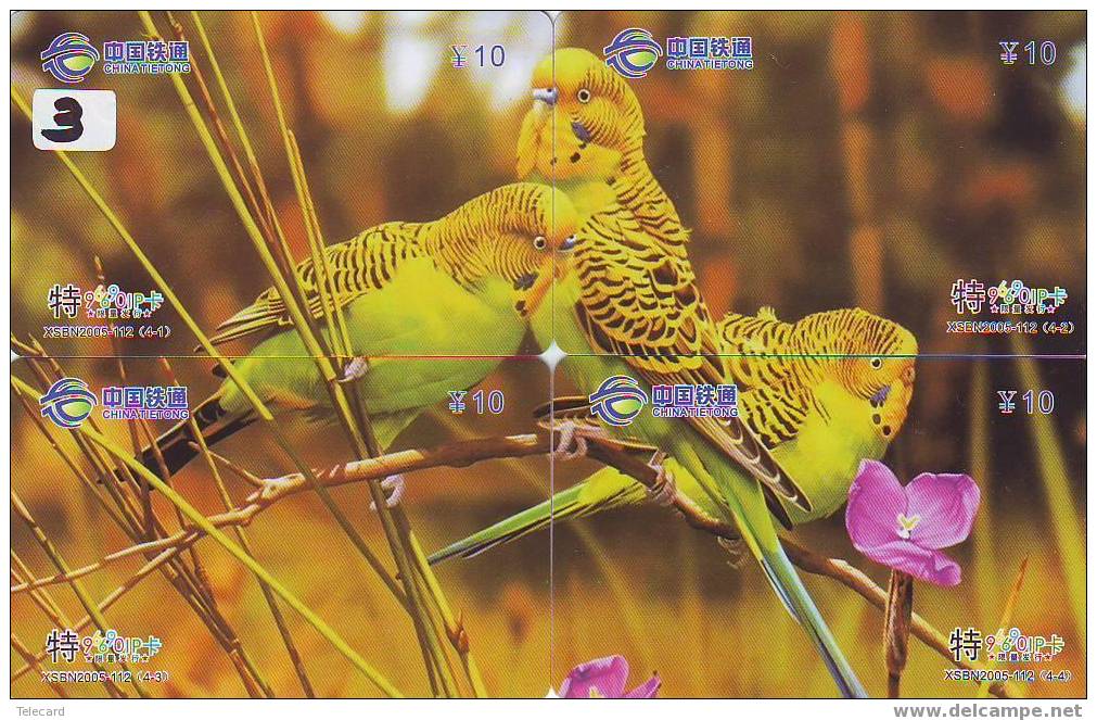 Bird PARROT Perroquet PAPAGAAI Papagei Oiseau (3) Puzzle Of 4 Phonecards - Puzzles