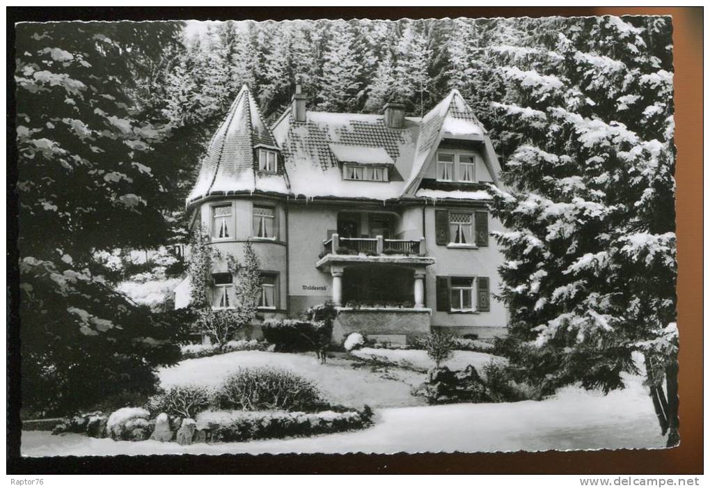 CPSM Non écrite Allemagne HINTERZARTEN Fremdenheim Haus Waldesruh - Hinterzarten