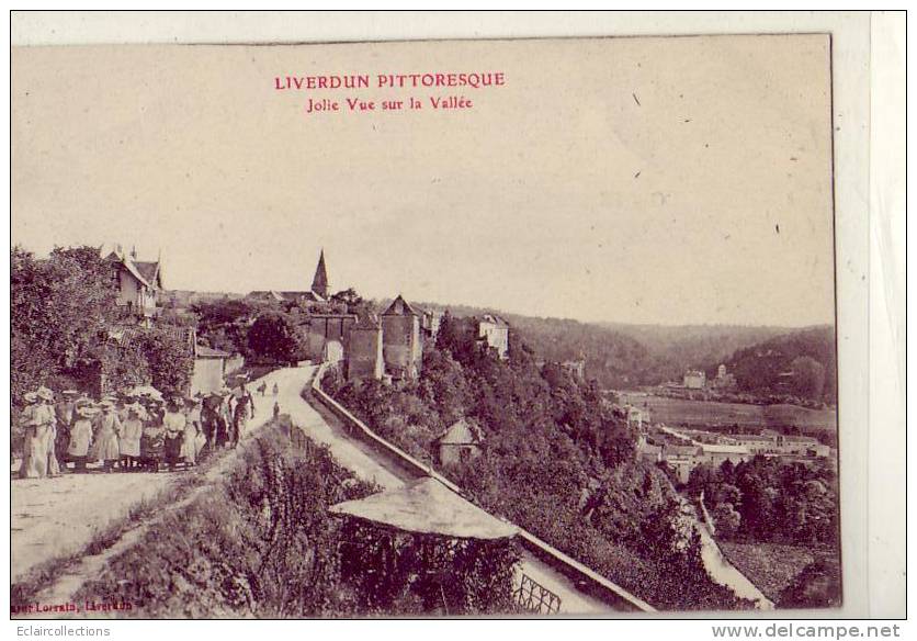 Liverdun   54   Vue Sur La Vallée - Liverdun