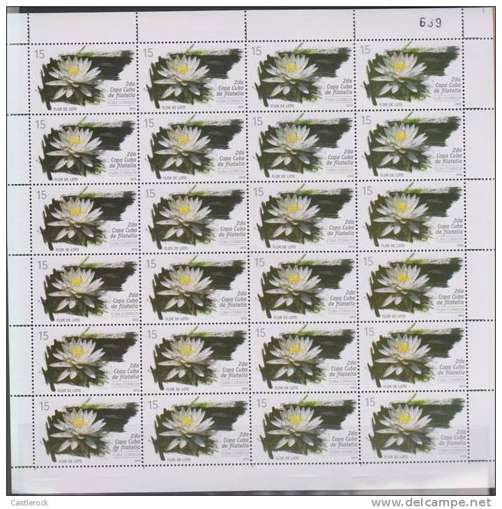 RO)2013 CUBA-CARIBE, FULL SHEETS COPA DE FILATELIA, BIRDS & VALUES AND 24 SOUVENIR SHEETS - Collections, Lots & Series