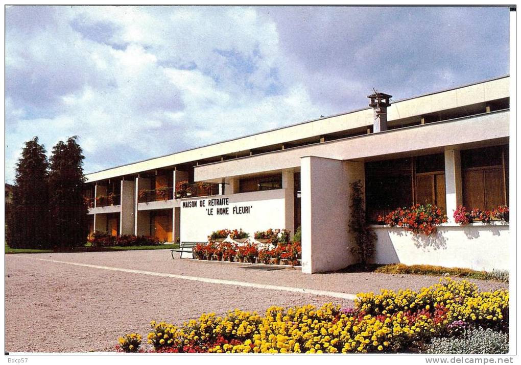 88 - Vosges - Saint-Etienne-les - Remiremonts - Foyer De Personnes Agées - Le Home Fleuri  - Format  10,2  X 14,7 - Saint Etienne De Remiremont