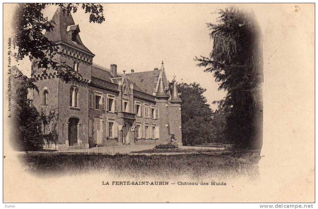 LA FERTE SAINT AUBIN   -   Château Des Muids - La Ferte Saint Aubin