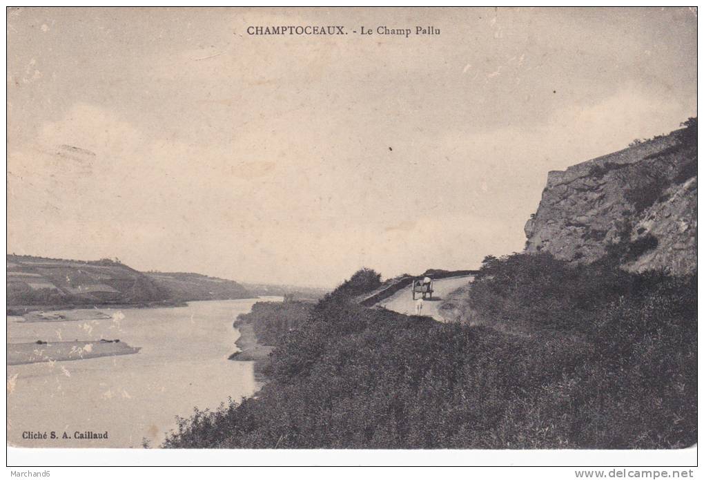 MAINE ET LOIRE CHAMPTOCEAUX LE CHAMP PALLU Editeur S A Caillaud - Champtoceaux