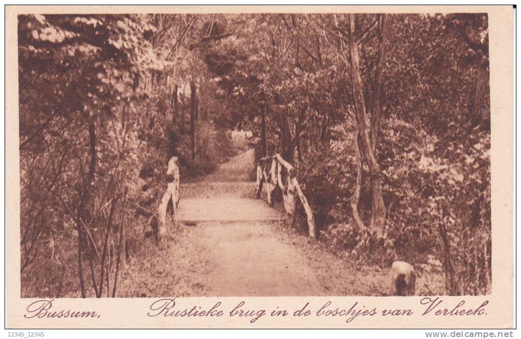 Bussum Rustieke Brug In De Boschjes Van Verbeek - Bussum