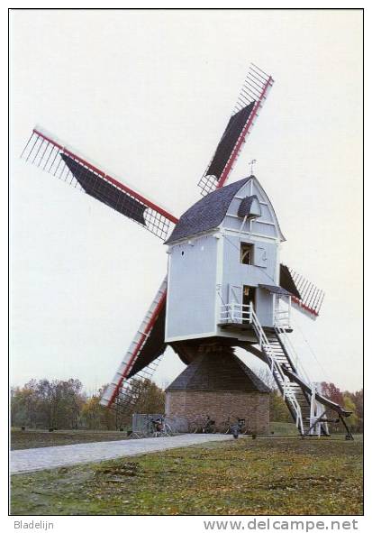 OLEN (Prov. Antwerpen) - Molen/moulin - De Pas Opgerichte Buulmolen, Opgezeild En In Werking (herfst 2003). - Olen