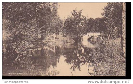 Wisconsin Whitewater Bellow North Street Bridge Albertype - Autres & Non Classés