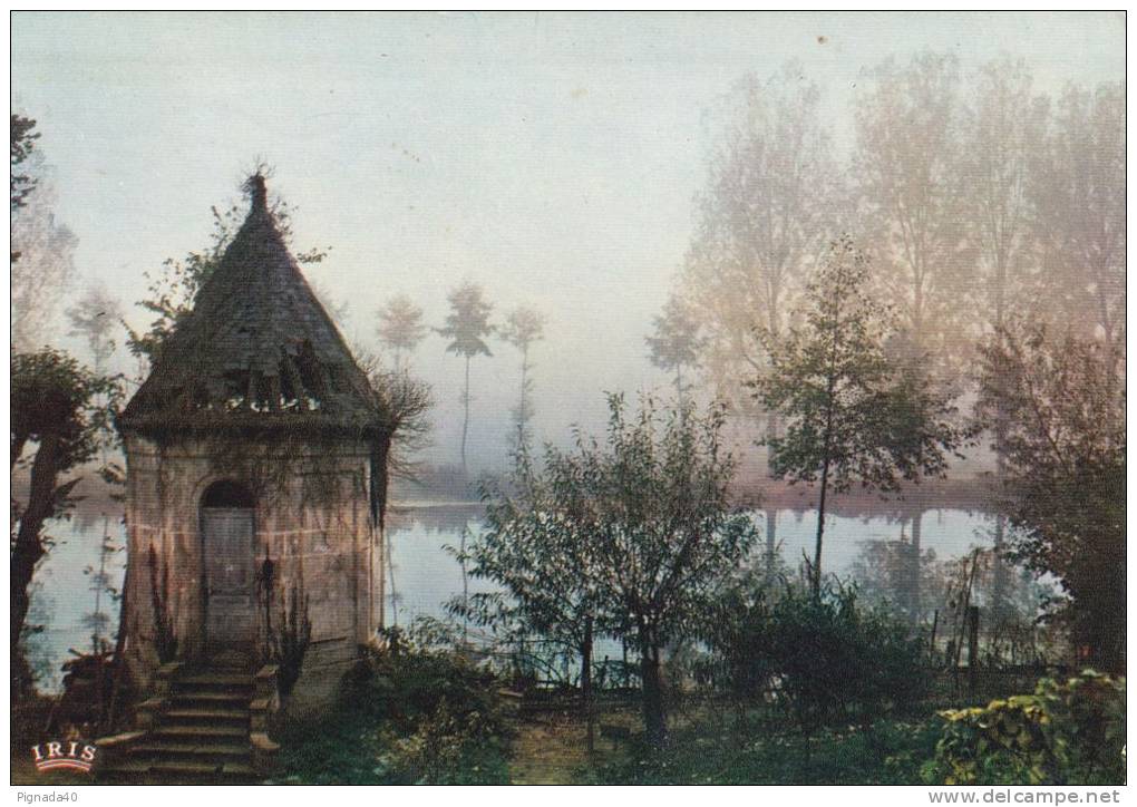 Cp , RÉGIONS , POITOU-CHARENTE , Brumes Matinales Sur La Vallée De La Vienne - Poitou-Charentes