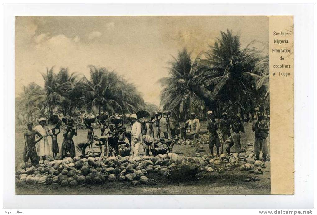 DAHOMEY BENIN  PLANTATION DE COCOTIERS  A TOPEO - Dahomey