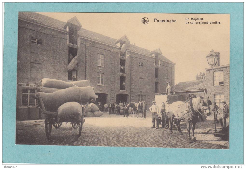 POPERINGHE - De Hopteelt. - La Culture Houblonnière  - Jurande Municipale Et Halle Aux Houblons  - TRES BELLE CARTE   - - Poperinge