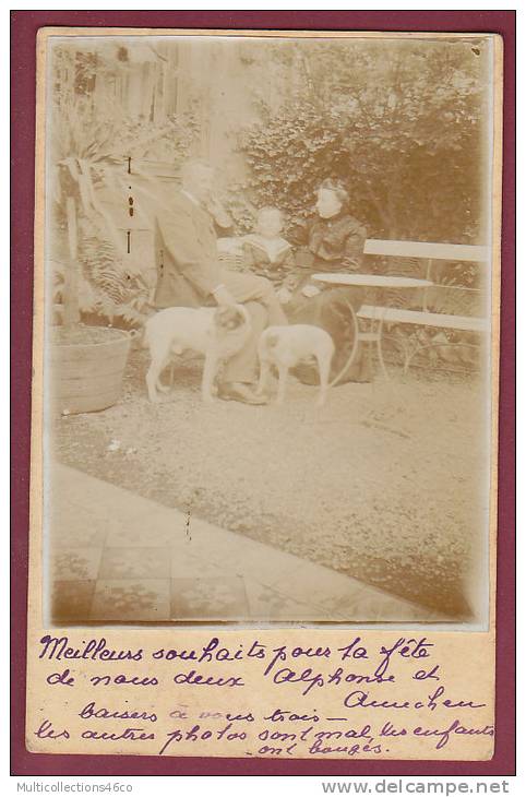 LUXEMBOURG - 130213 - Carte Photo Famille Dans Jardin Avec Chiens  (oblitération De DUDELANGE) - Dudelange