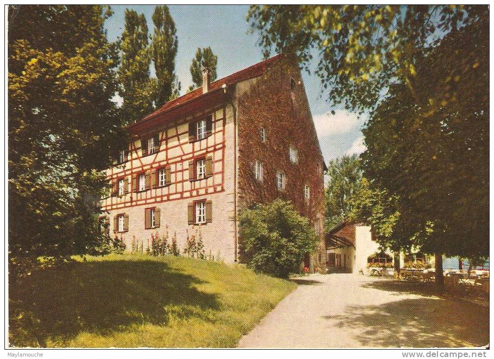 Untersee B . Steckborn - Steckborn