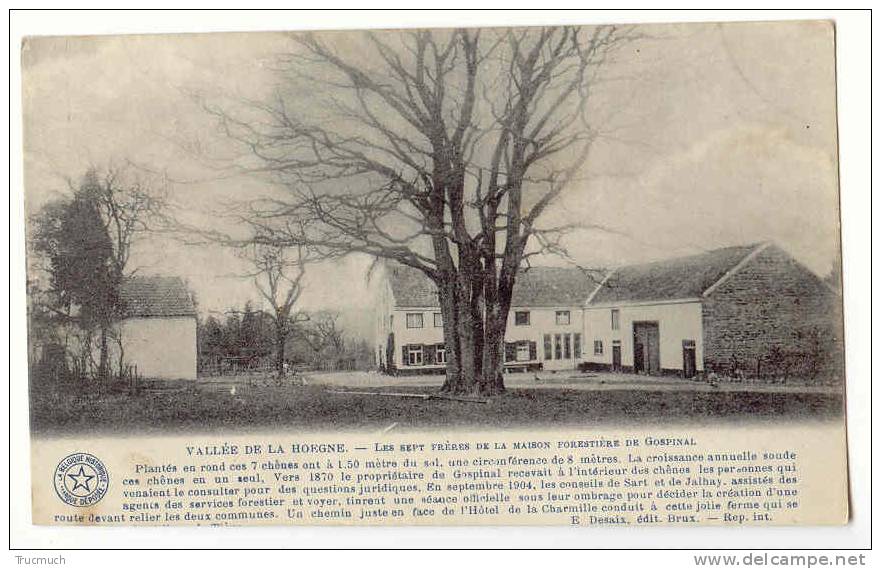 D10554 - Jalhay - Les Sept Frères  De La Maison Forestière De Gospinal - Jalhay