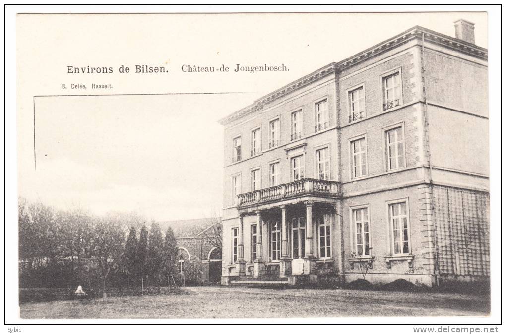 Environs De BILSEN - Château De Jongenbosch - Bilzen