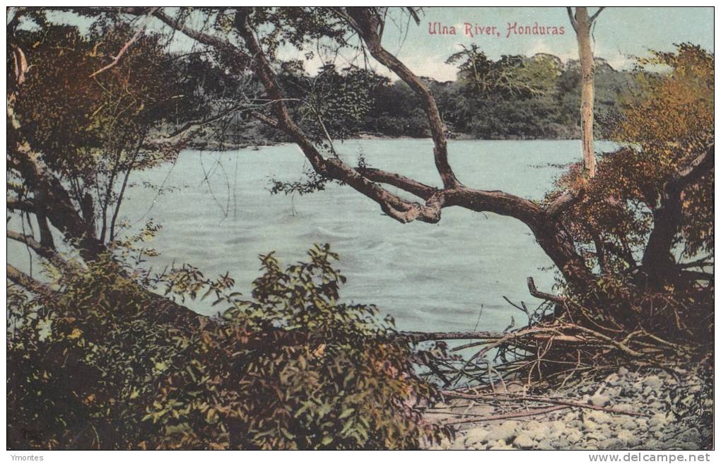 Postcard Ulua River 1900-1910( Postally Not Used) - Honduras