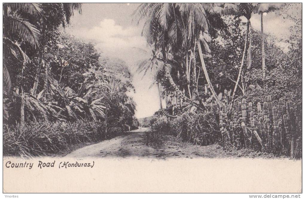 Postcard Country Road 1900-1910( Postally Not Used) - Honduras