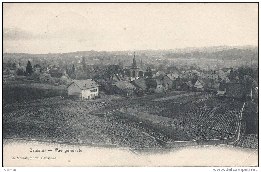 L1105 - Crissier Vue Générale - Crissier