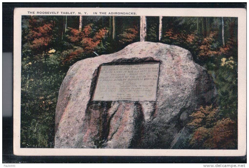 Adirondack Mountains - The Roosevelt Tablet - Adirondack