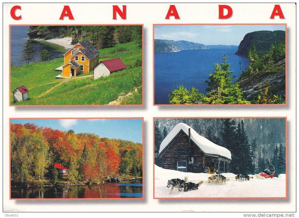 Canada Paysages, Constrastes Et Saisons Exc : 270 - Moderne Ansichtskarten