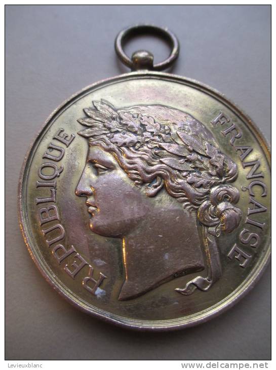 Société Nationale De Tir Des Communes De France /Médaille D´honneur/RF/vers 1885    D161 - Professionnels / De Société