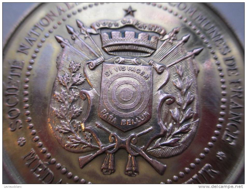 Société Nationale De Tir Des Communes De France /Médaille D´honneur/RF/vers 1885    D161 - Firma's