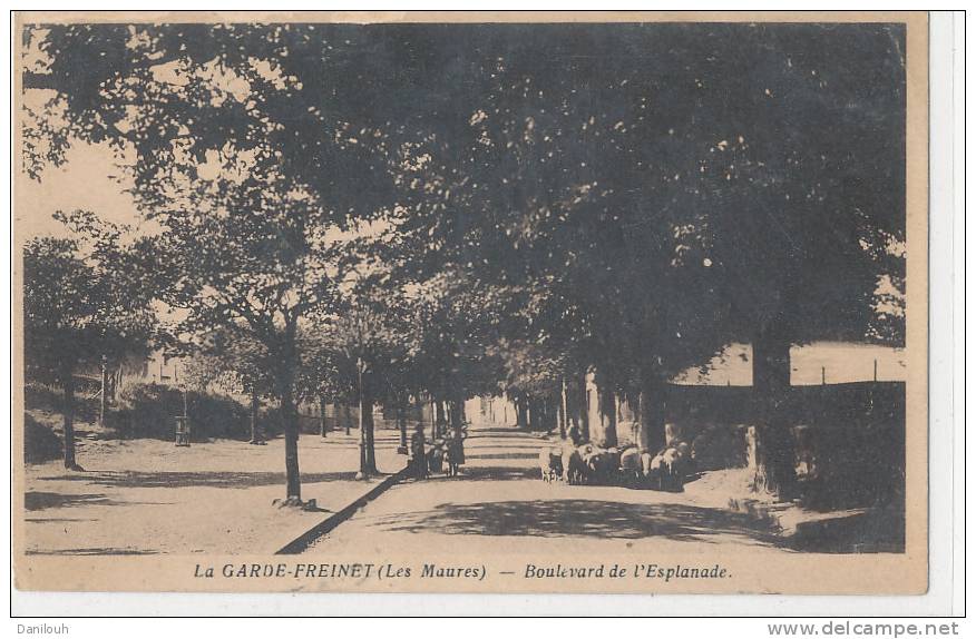 83 // LA GARDE FREINET    Boulevard De L Esplanade    Moutons - La Garde Freinet