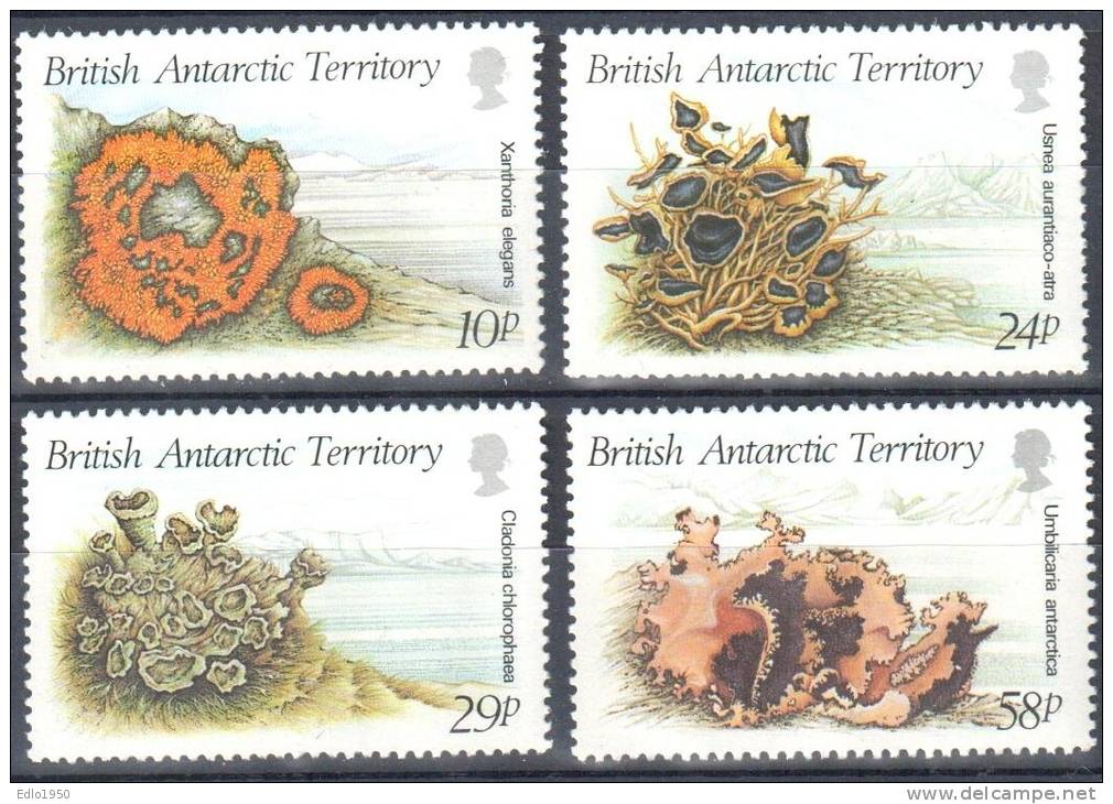 BAT British Antarctic Territory 1989 Plants - Mi.152-55-  MNH - Unused Stamps