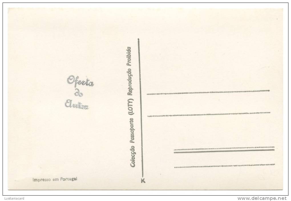 MOURA -  Câmara Municipal E Fontanario Das Três Bicas (Ed. LOTY Nº17) Carte Postale - Beja