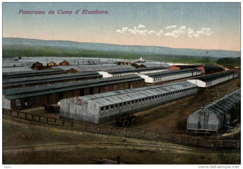 BELGIQUE - LIEGE - BUTGENBACHT - BUETGENBACH - ELSENBORN - Panorama Du Camp. - Bütgenbach