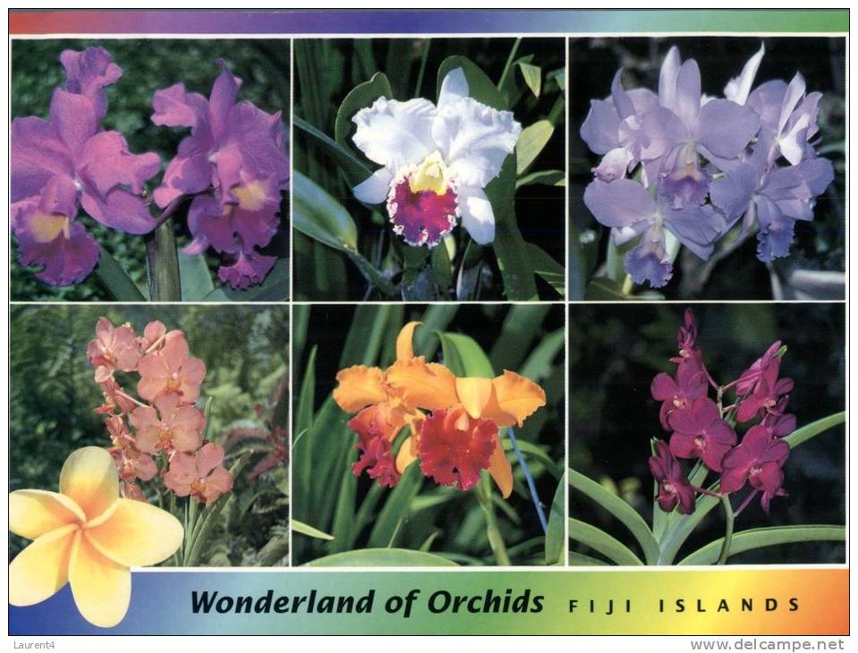 (111) Fiji Island - Ile De Fidji - Orchids - Fiji