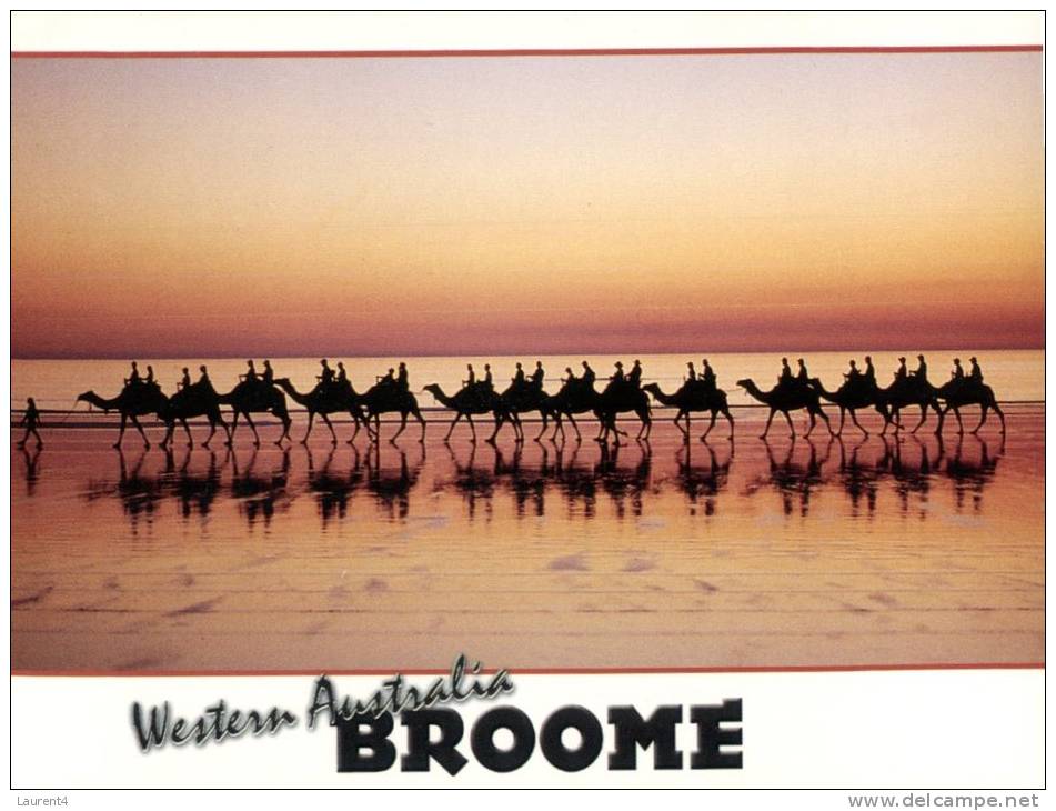 (111) Australia - WA - Broome With Camel - Broome