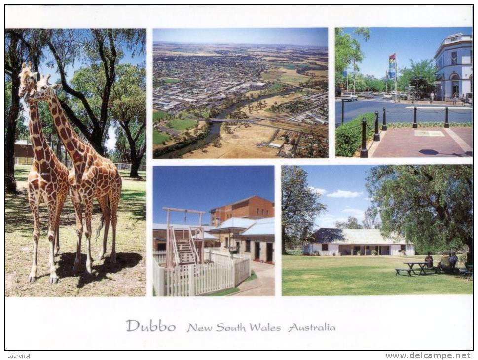 (111) Australia - NSW - Dubbo With Giraffe - Dubbo