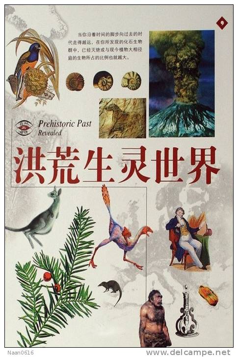 [Y59-066  ]    Prihistorical Flora Fluna      Fossil   , Postal Stationery -- Articles Postaux -- Postsache F - Fossielen